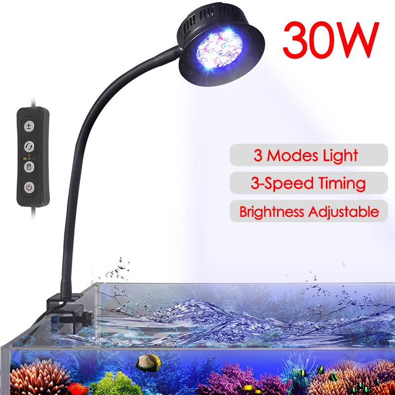 Marine Aquarium Tanks - 30 W Aquarium Aquarium Meer Wasser