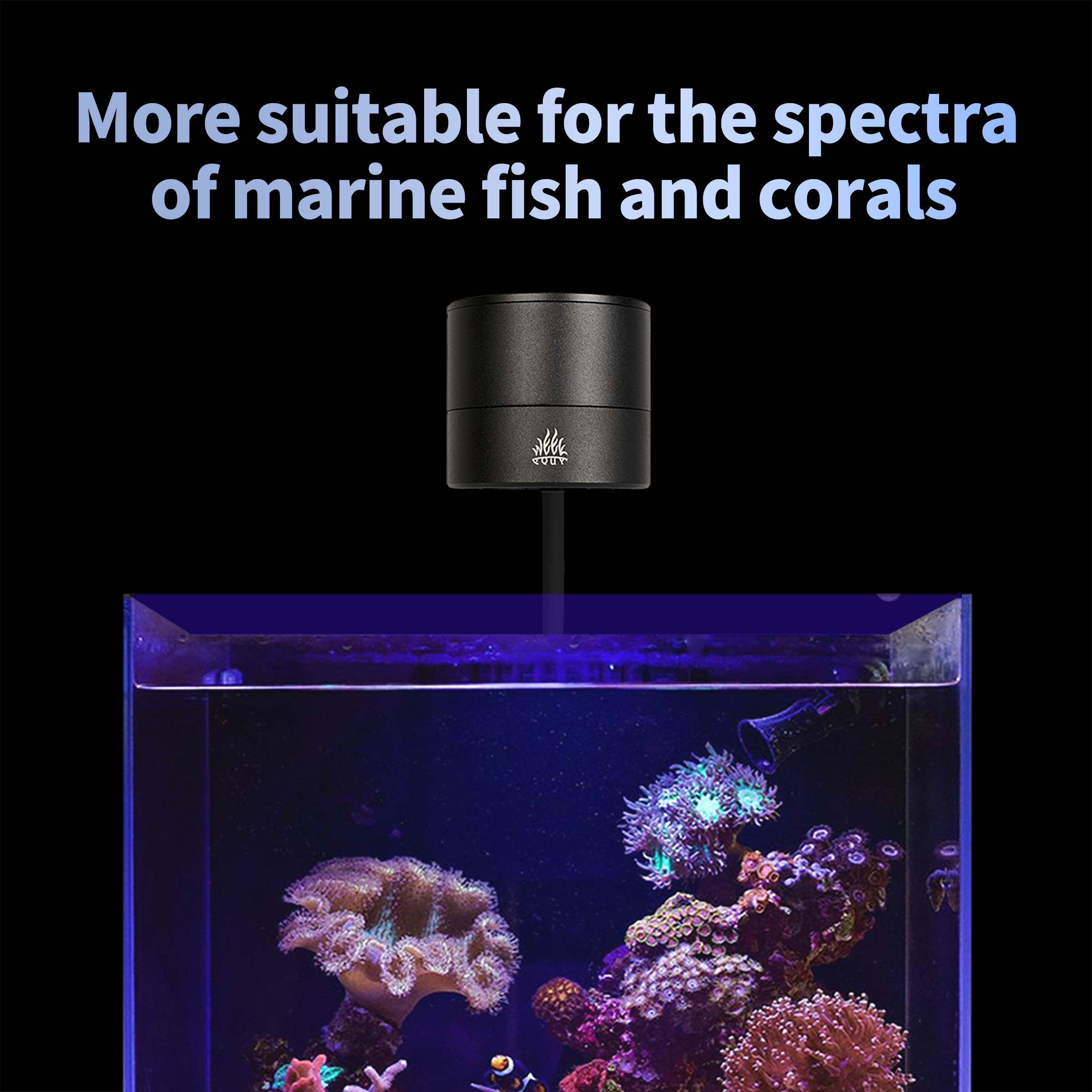 T95 Sea 50W Vollspektrum-Meere – Marine Aquarium Timing Bewertung und Preis