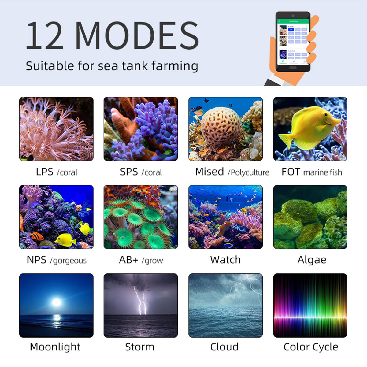 T95 Sea 50W Vollspektrum-Meere – Marine Aquarium Timing Bewertung und Preis
