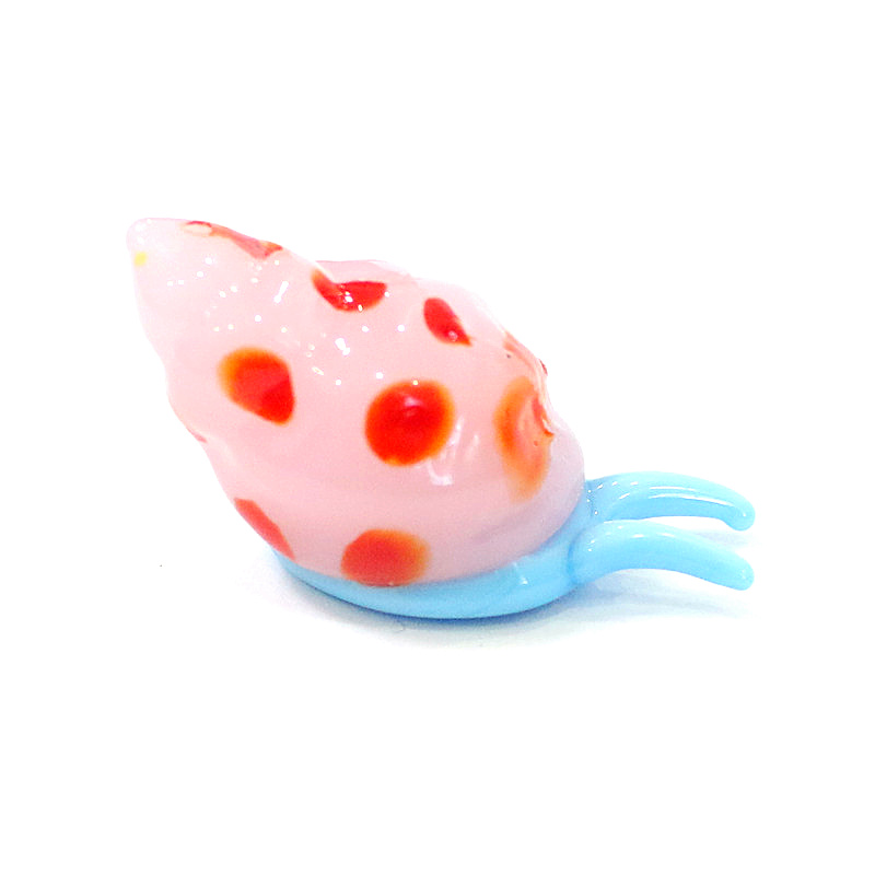 Niedliche murano Glas meeres t – Marine Aquarium & Regional Centre Photos Bewertung und Preis