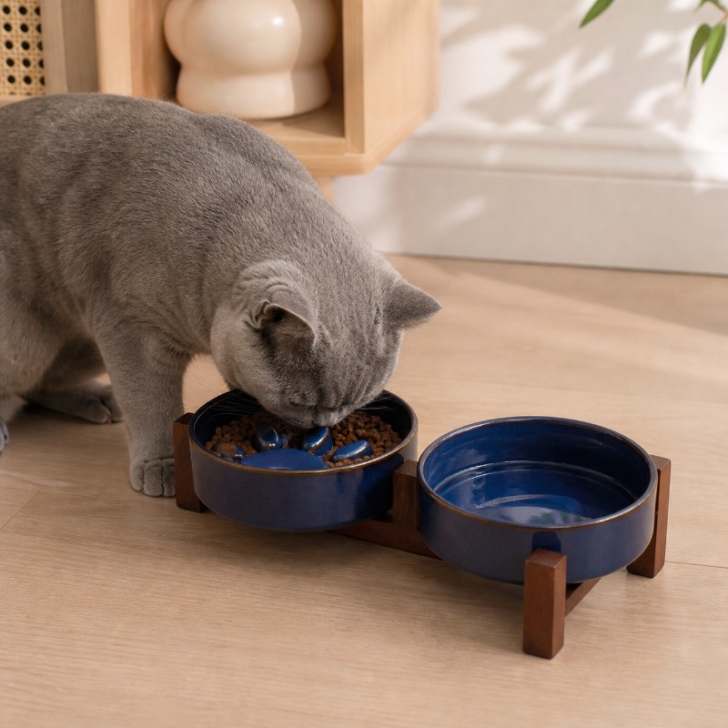 Japanischer Keramik-Futternapf – Royal Canin Food Medium Bewertung und Preis