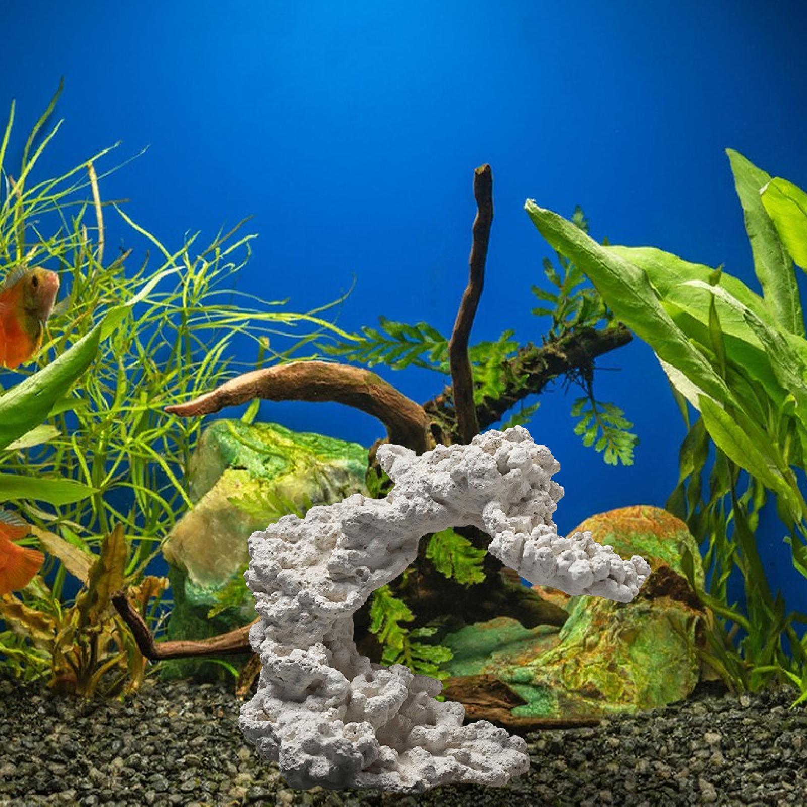 Aquarium Zucht Versteck Orname – Marine Aquarium Aquascape Bewertung und Preis