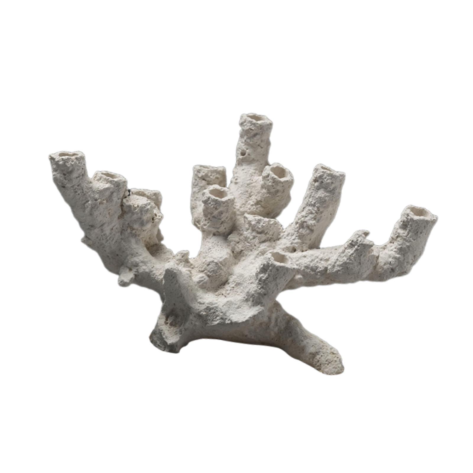 Aquarium Zucht Versteck Orname – Marine Aquarium Aquascape Bewertung und Preis